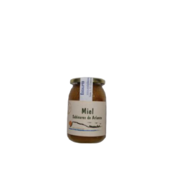 MIEL DE EUCALIPTO 1/2 KG